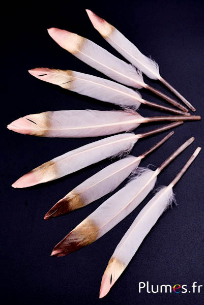 Oie Lame pointe dorée-bronze - 10-15 cm - beige rosé